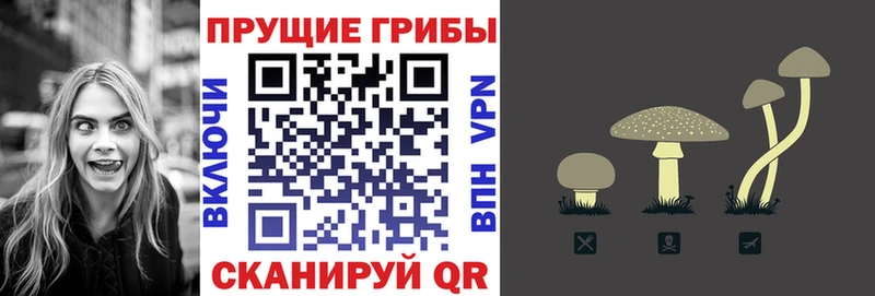 Псилоцибиновые грибы прущие грибы  Мосальск 